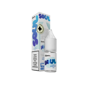 SALT TPD KLARRO SOUL 20MG 10ML - BORÓWKA ICE