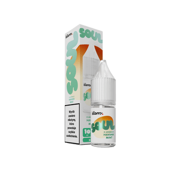 SALT TPD KLARRO SOUL 20MG 10ML - HAVANA MINT